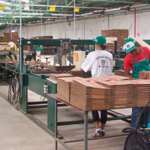 Industria de caixas de papelão